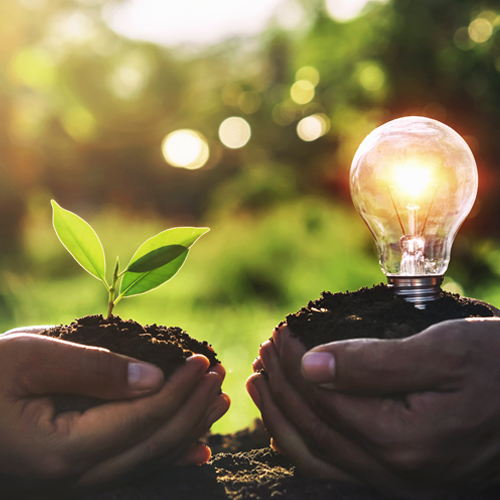 Meio-ambiente-saude Meio-ambiente-saude